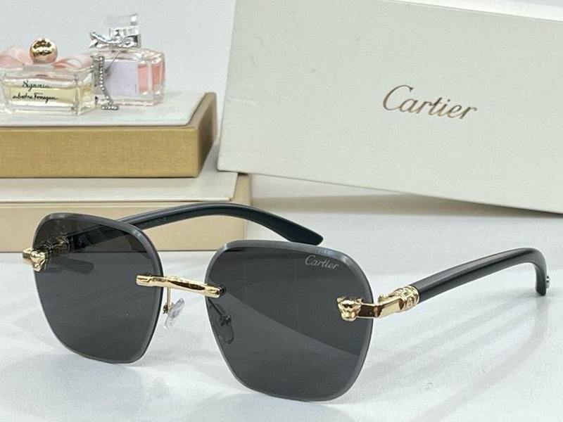 Cartier Sunglasses 157